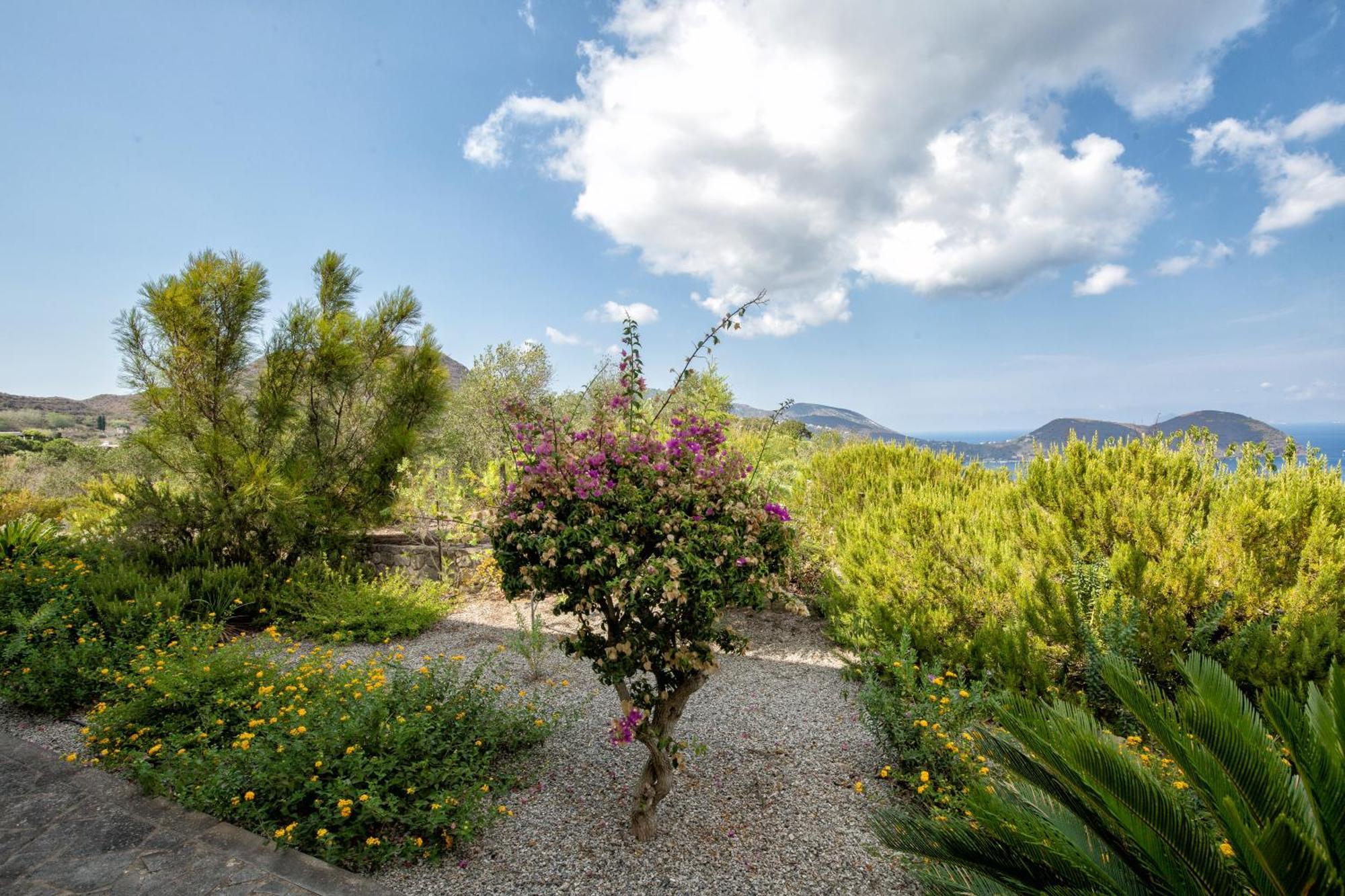 Sealight Villa Lipari - Vista E Piscina Esterno foto