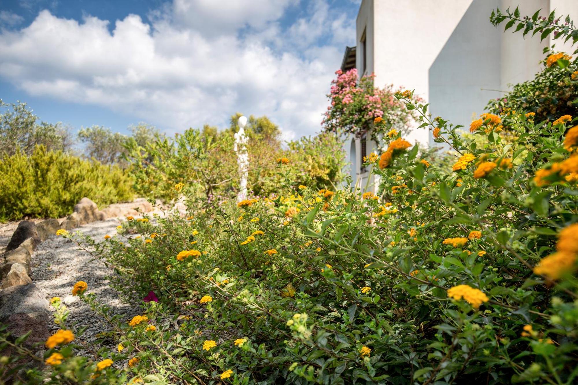 Sealight Villa Lipari - Vista E Piscina Esterno foto