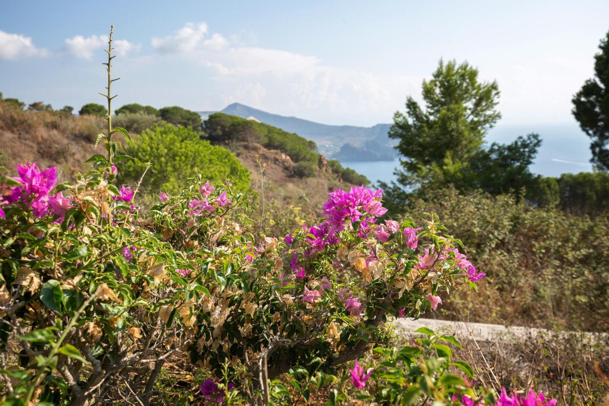 Sealight Villa Lipari - Vista E Piscina Esterno foto